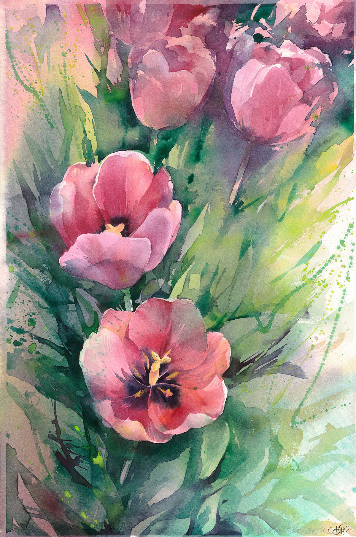 Watercolor floral Pink tulips • MarMarClipArt