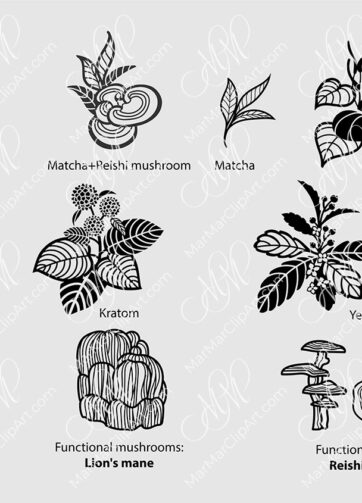 Vector botanical set. Medicinal plants and mushrooms