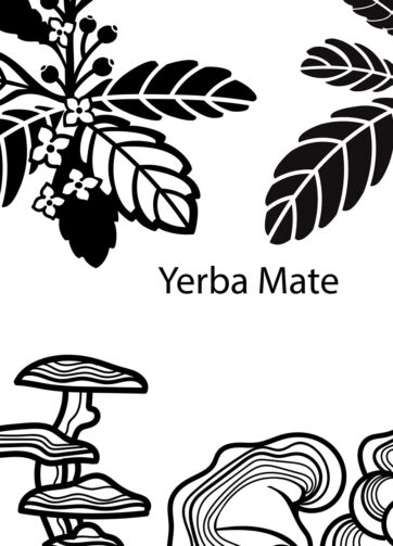 Vector botanical illustrations. Fragment