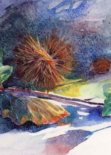 Autumn Light: Chestnut. Watercolor Painting