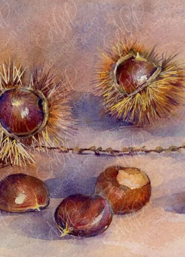 Chestnuts San Zeno di Montagna. Watercolor still life