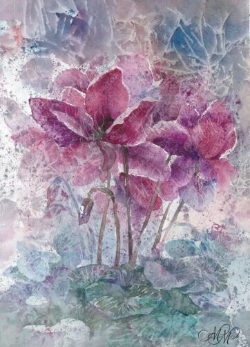 Winter Cyclamens watercolor painting